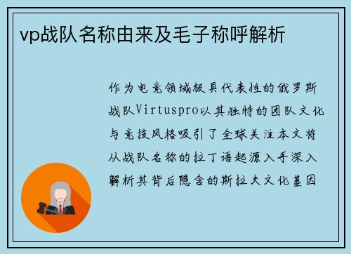 vp战队名称由来及毛子称呼解析